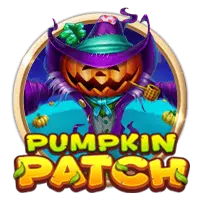Pumpkin Patch